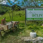 Ucliva